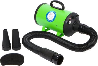 Flying Pig High Velocity Dog Pet Grooming Dryer w/Heater (Model: Flying One, Purple) (Color: Green)